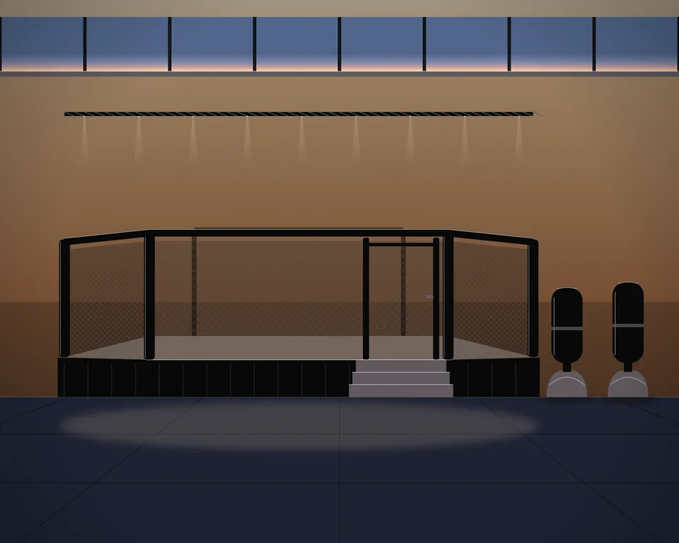 Illustration: an MMA cage on a padded platform at dusk with steps and two free-standing punch bags.
